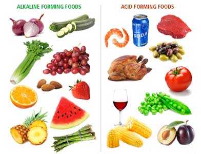diet alkali asam vs basa