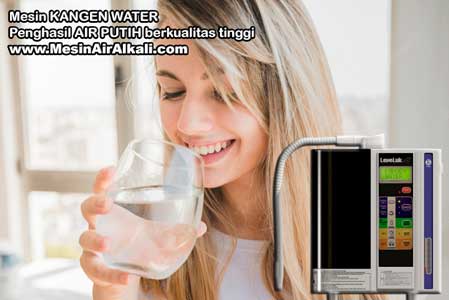 minum air alkali