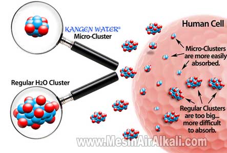 micro clustered kangen water